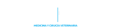 VetSurg